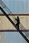 Morgan Stanley r�duit sa pr�vision de croissance mondiale
