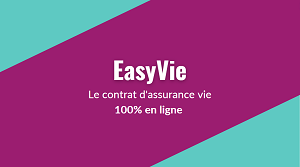 ZOOM SUR LA DURABILITÉ DANS EASYVIE : MANDATS D'ARBITRAGE, PORTEFEUILLES CONSEILLÉS, FONDS EASY EURO ZOOM SUR LA DURABILITÉ DANS EASYVIE : MANDATS D'ARBITRAGE, PORTEFEUILLES CONSEILLÉS, FONDS EASY EURO
